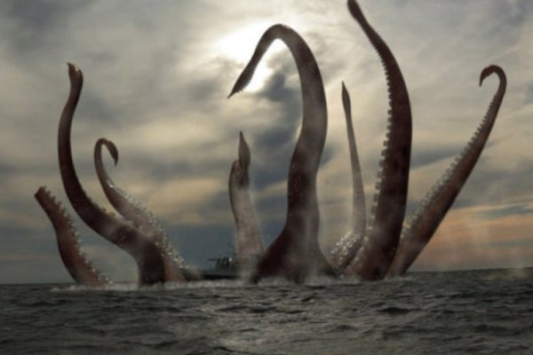 Kraken forum