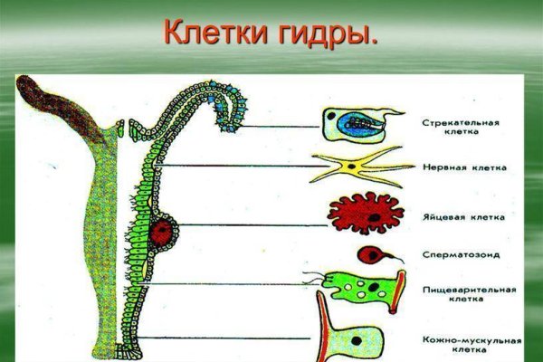 Kraken смылка