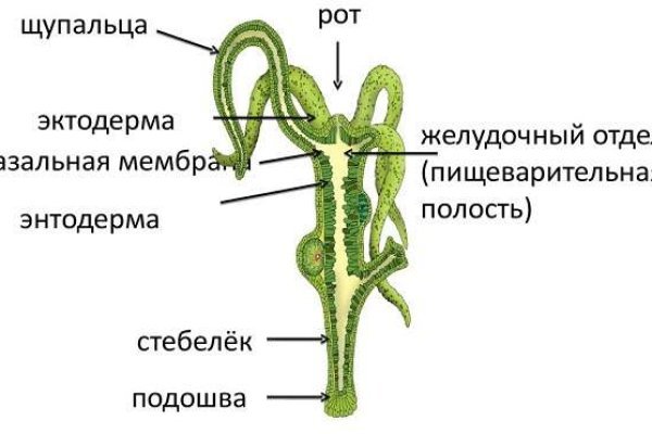 Кракен ссылка работает