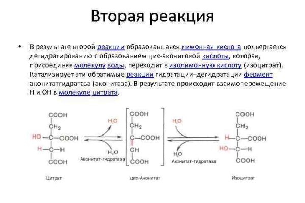 Кракен топ