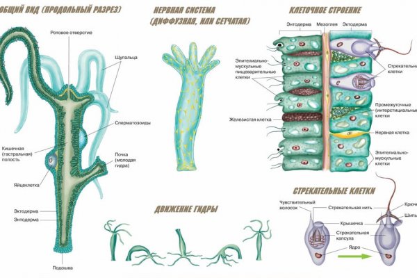 Кракен магазин kraken4am com