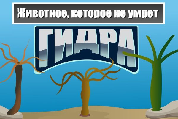 Kraken marketplace